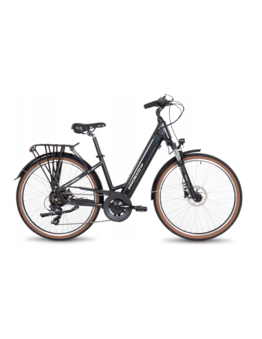 Rower elektryczny PROECO WAVE AN 1.0 26 504WH | Grafitowy