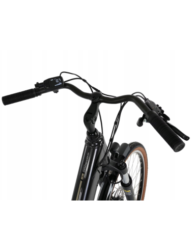 Rower elektryczny PROECO WAVE AN 1.0 26 504WH | Grafitowy