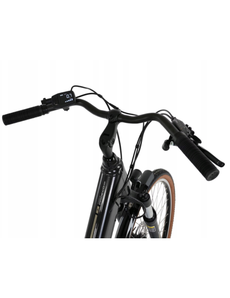 Rower elektryczny PROECO WAVE AN 1.0 26 504WH | Grafitowy