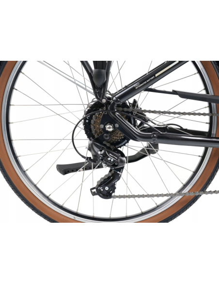 Rower elektryczny PROECO WAVE AN 1.0 26 504WH | Grafitowy