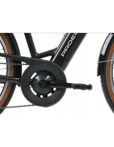 Rower elektryczny PROECO WAVE AN 1.0 26 504WH | Grafitowy