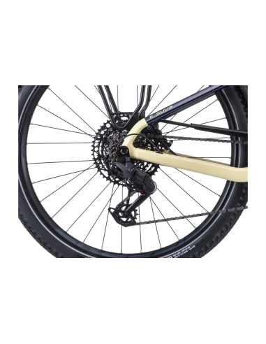 Rower elektryczny Crussis e-SUV low AX 9.12 | Avinox M2S