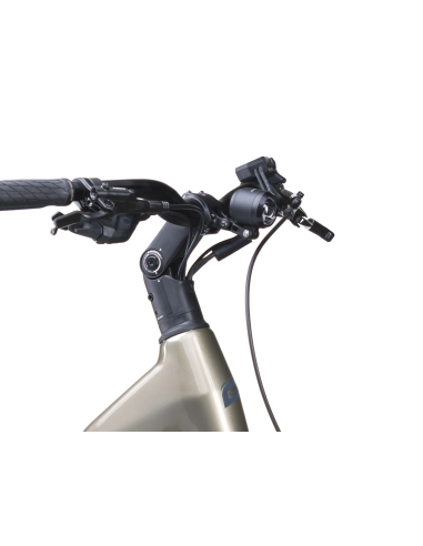Rower elektryczny Crussis e-Country AX 8.12 | Avinox M2