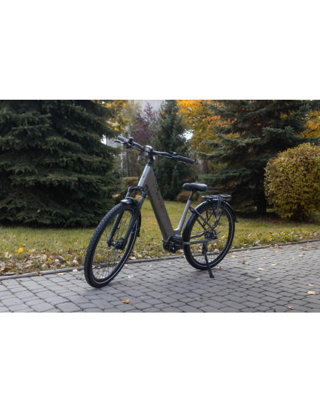 Rower elektryczny Barton M210 2.0 Tytan