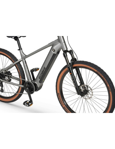 Rower elektryczny Ecobike SX 300 Silver