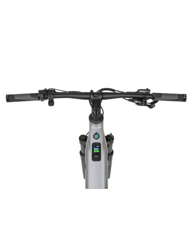 Rower elektryczny Ecobike SX 300 Silver