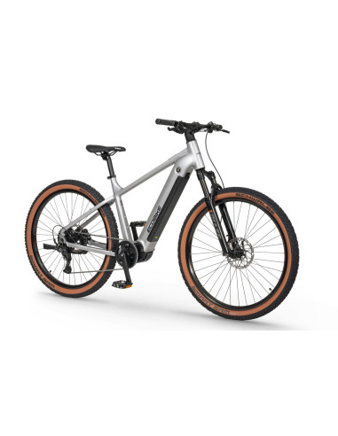 Rower elektryczny Ecobike SX 300 Silver