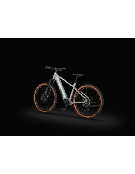 Rower elektryczny Ecobike SX 300 Silver