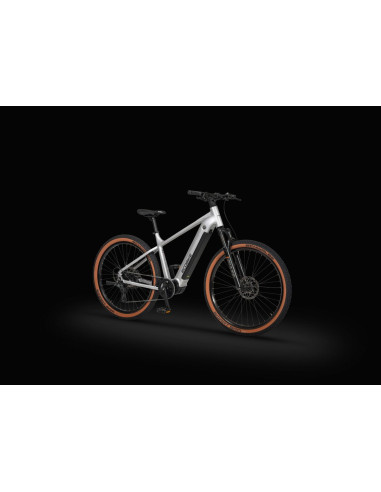Rower elektryczny Ecobike SX 300 Silver