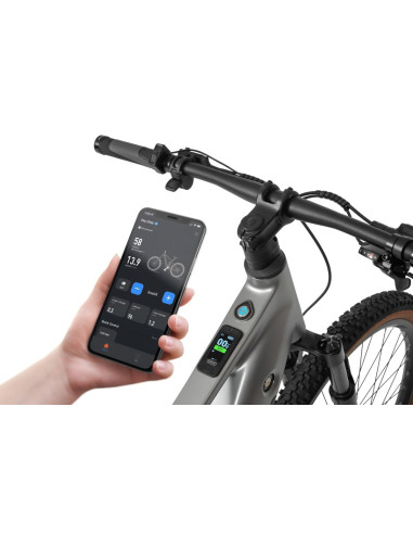Rower elektryczny Ecobike SX 300 Silver