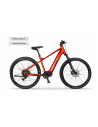 Rower elektryczny Ecobike SX 100 Orange