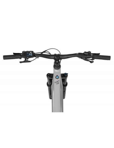 Rower elektryczny Ecobike Mauler