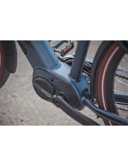 Rower elektryczny Jobobike Henry