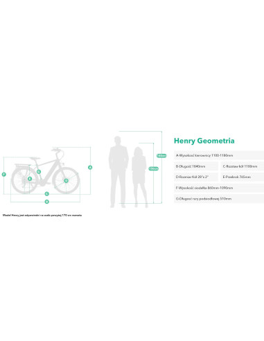 Rower elektryczny Jobobike Henry