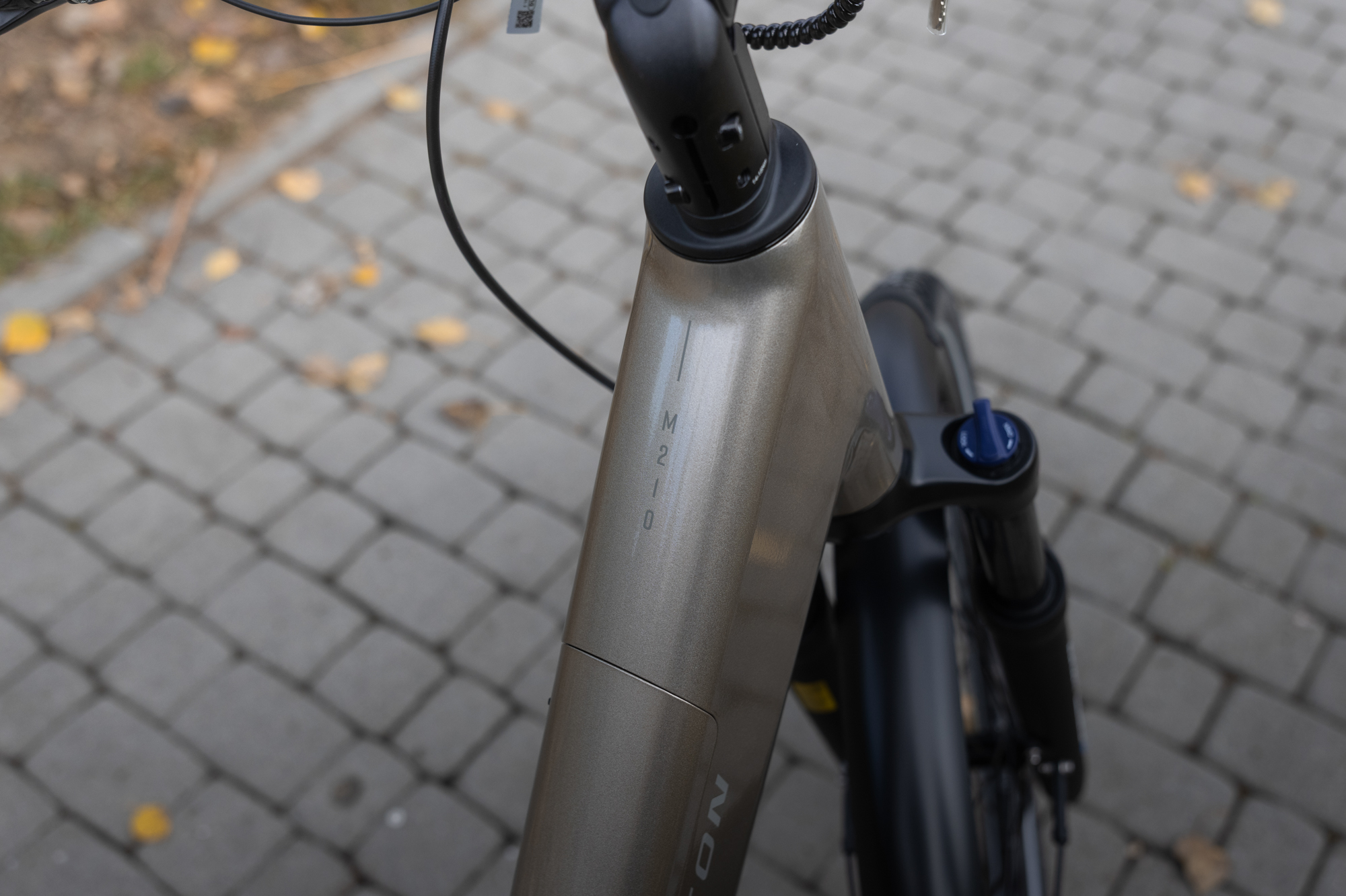Barton M210 2.0 w kolorze szampańskim