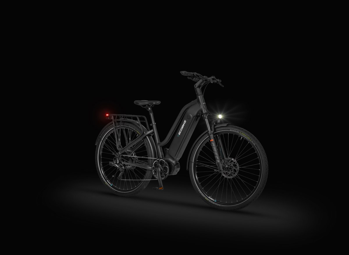 Ecobike LX 500