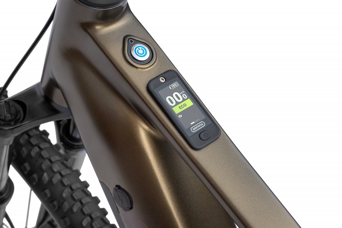 Ecobike SX 300 Green