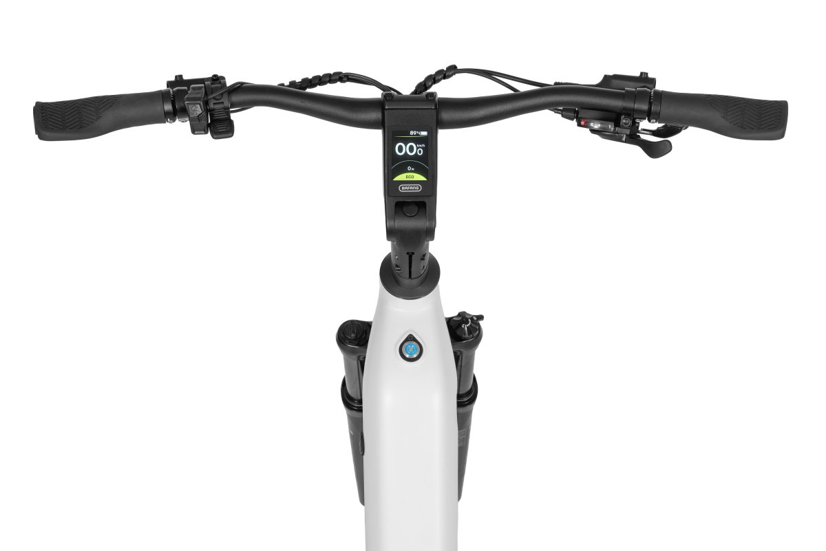 Ecobike LX300 White