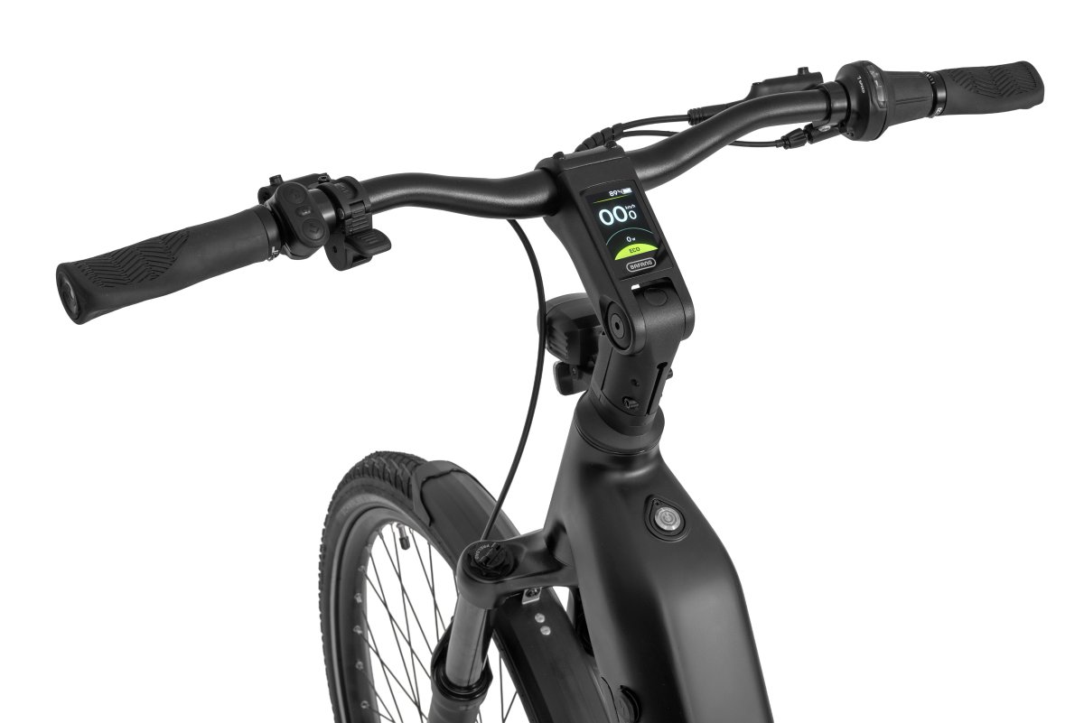 Ecobike LX 400