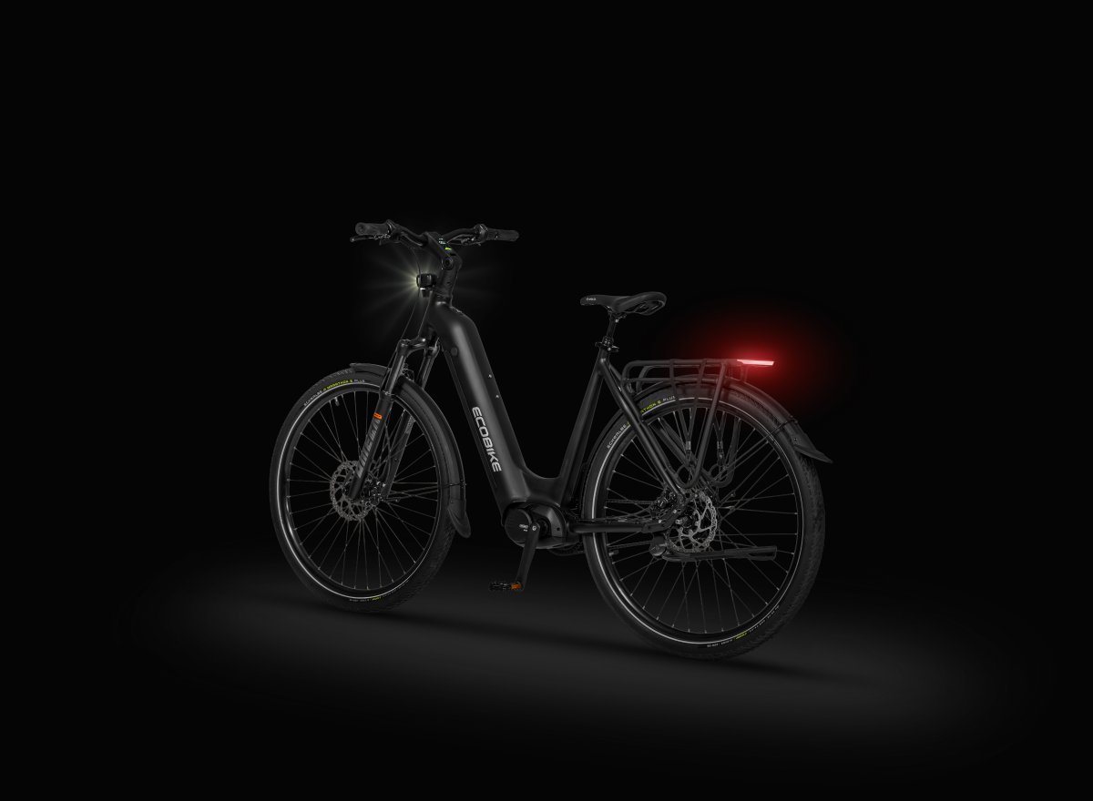 Ecobike LX 400